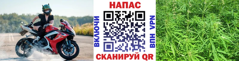 МАРИХУАНА семена  Купить закладки  Тосно 